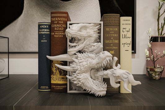 Drogon Book Nook