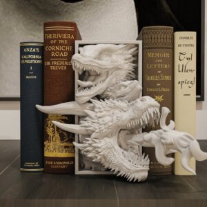 Drogon Book Nook