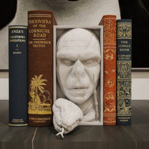 Voldemort Book Nook