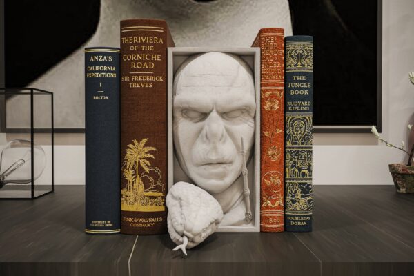 Voldemort Book Nook