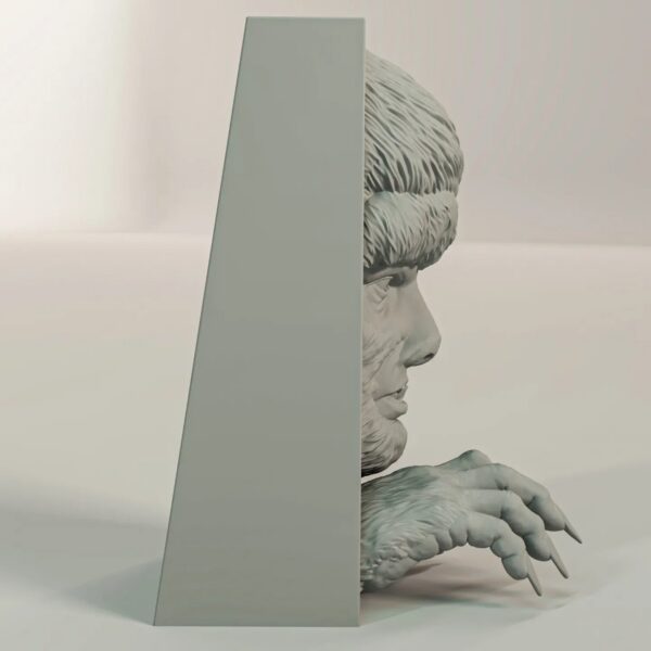 The Wolf Man Book Nook