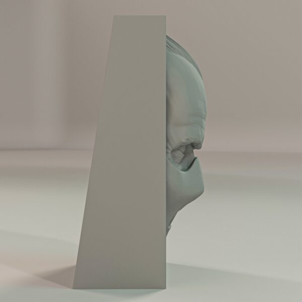 Hannibal Lecter Book Nook