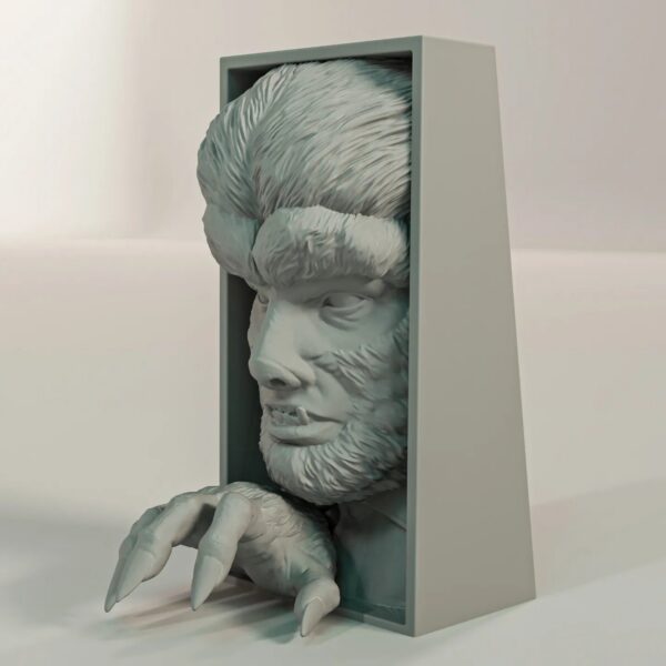 The Wolf Man Book Nook