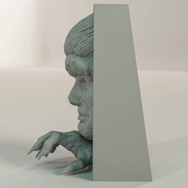 The Wolf Man Book Nook