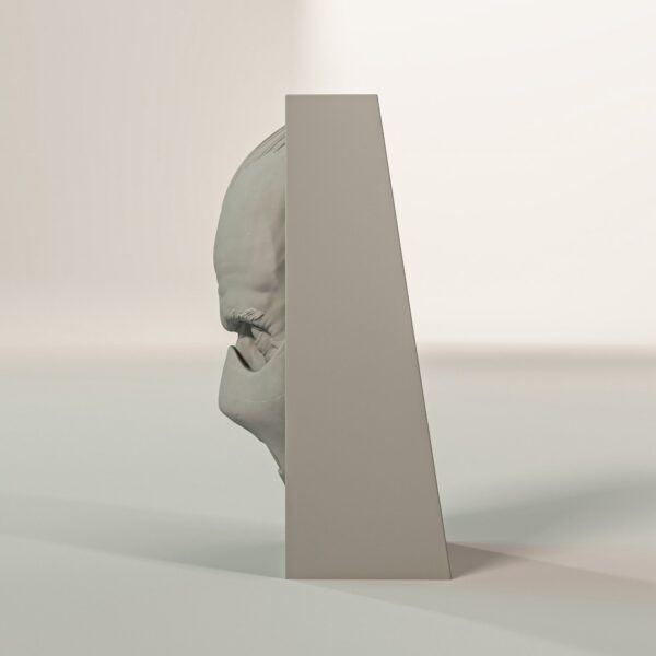 Hannibal Lecter Book Nook